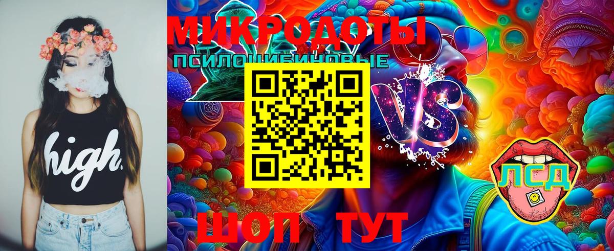 Галлюциногенные грибы Cubensis Вятские Поляны