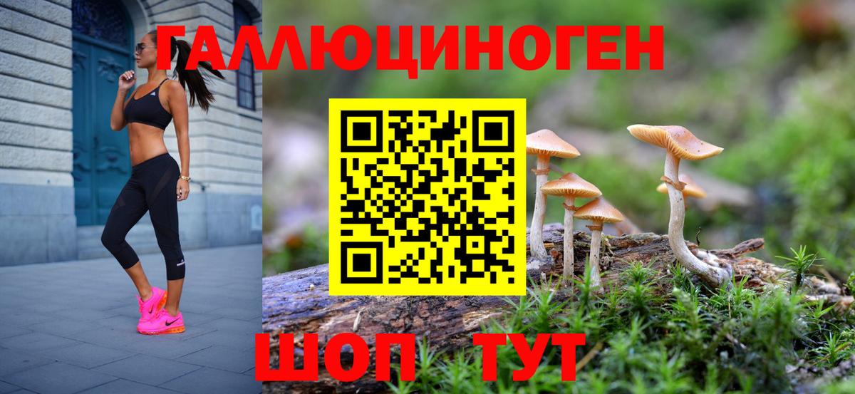 Вятские Поляны  Псилоцибиновые грибы Cubensis  Вход с VPN  Псилоцибиновые грибы MAGIC MUSHROOMS 